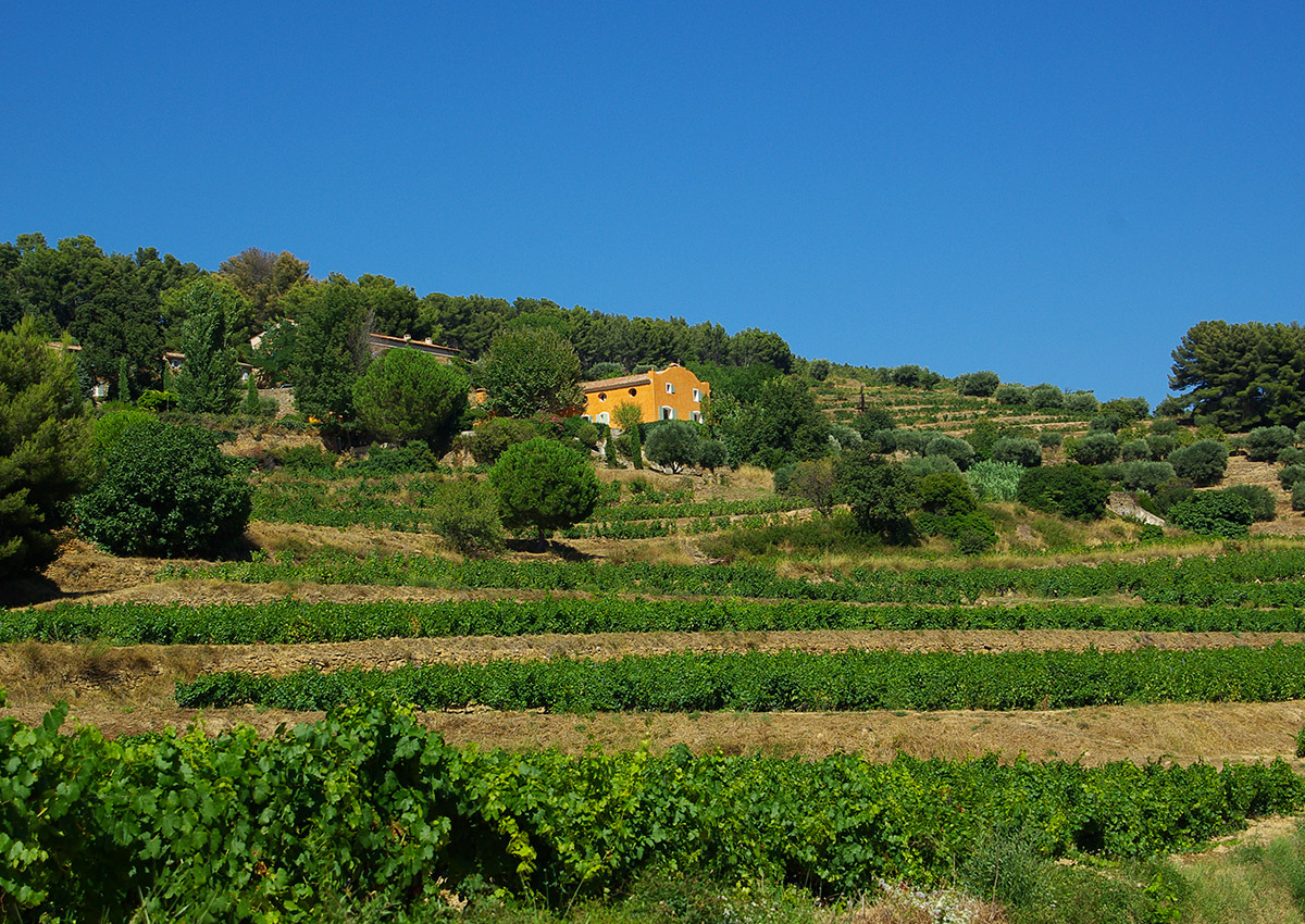 Château Canadel • Festival Just'Rosé