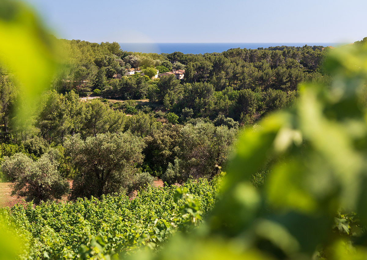 Chateau Croix D'Allons • Festival Just'Rosé