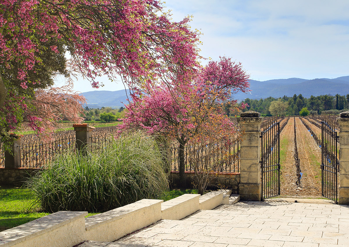 Château des Chaberts • Festival Just'Rosé