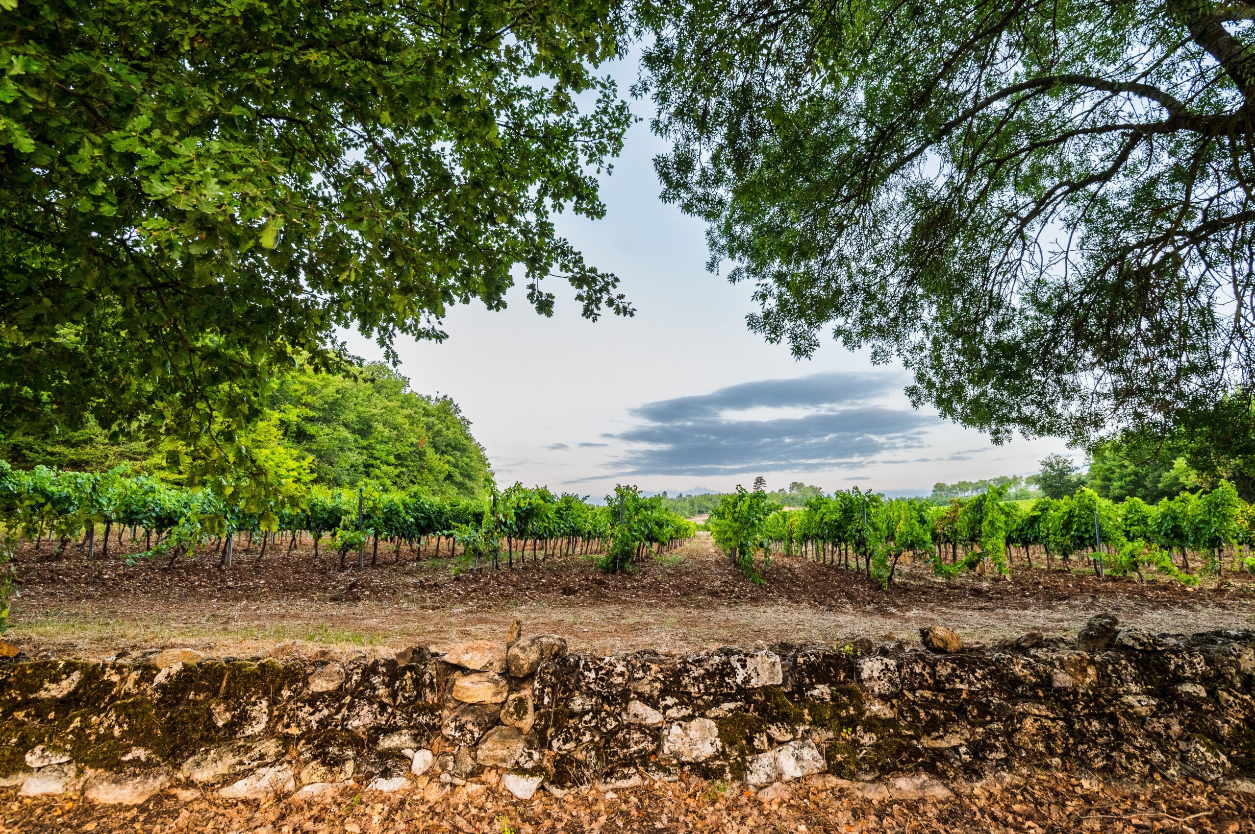 Bastide de Blacailloux photo 1