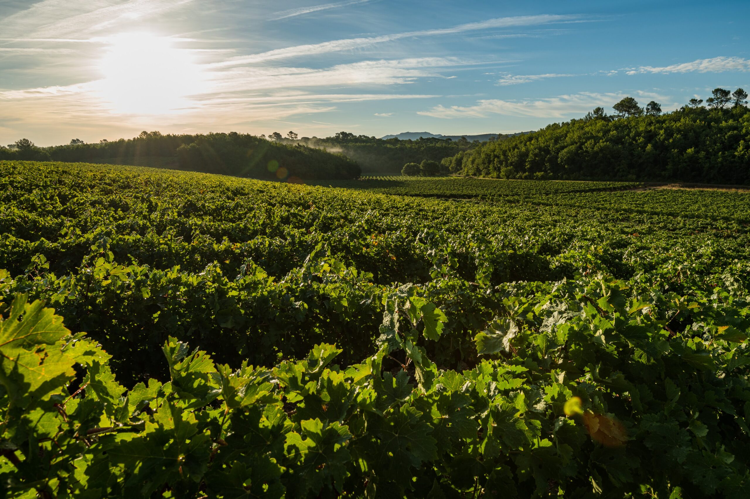 Bastide de Blacailloux photo 3