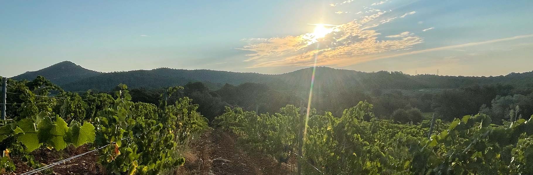 Château de Jasson • Festival Just'Rosé