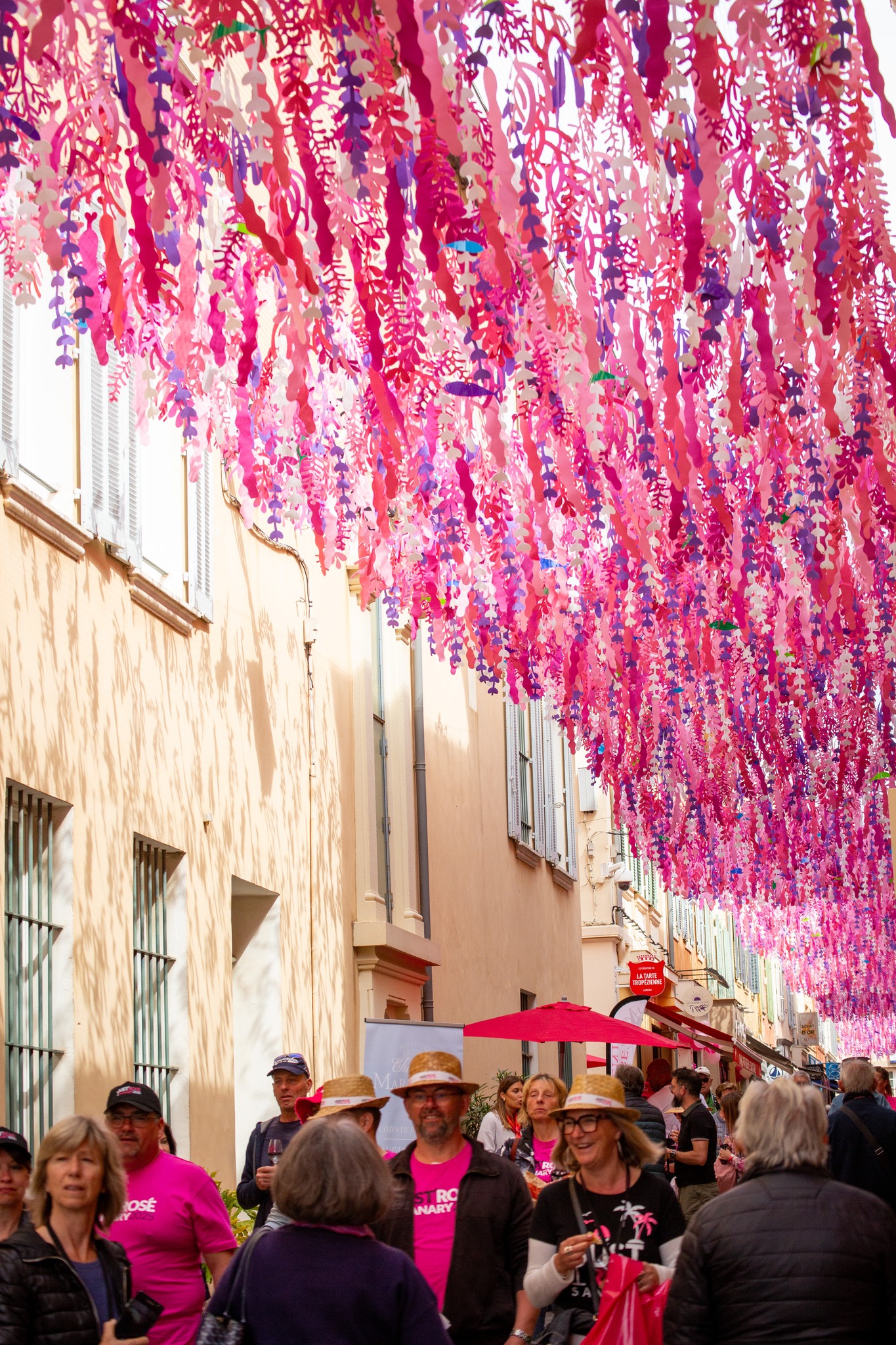 492694096_1148721467296527_7003229441970176112_n