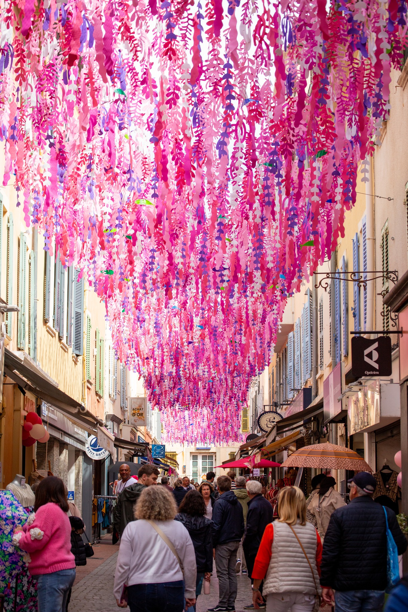 495184515_1148721597296514_4045572959363156680_n