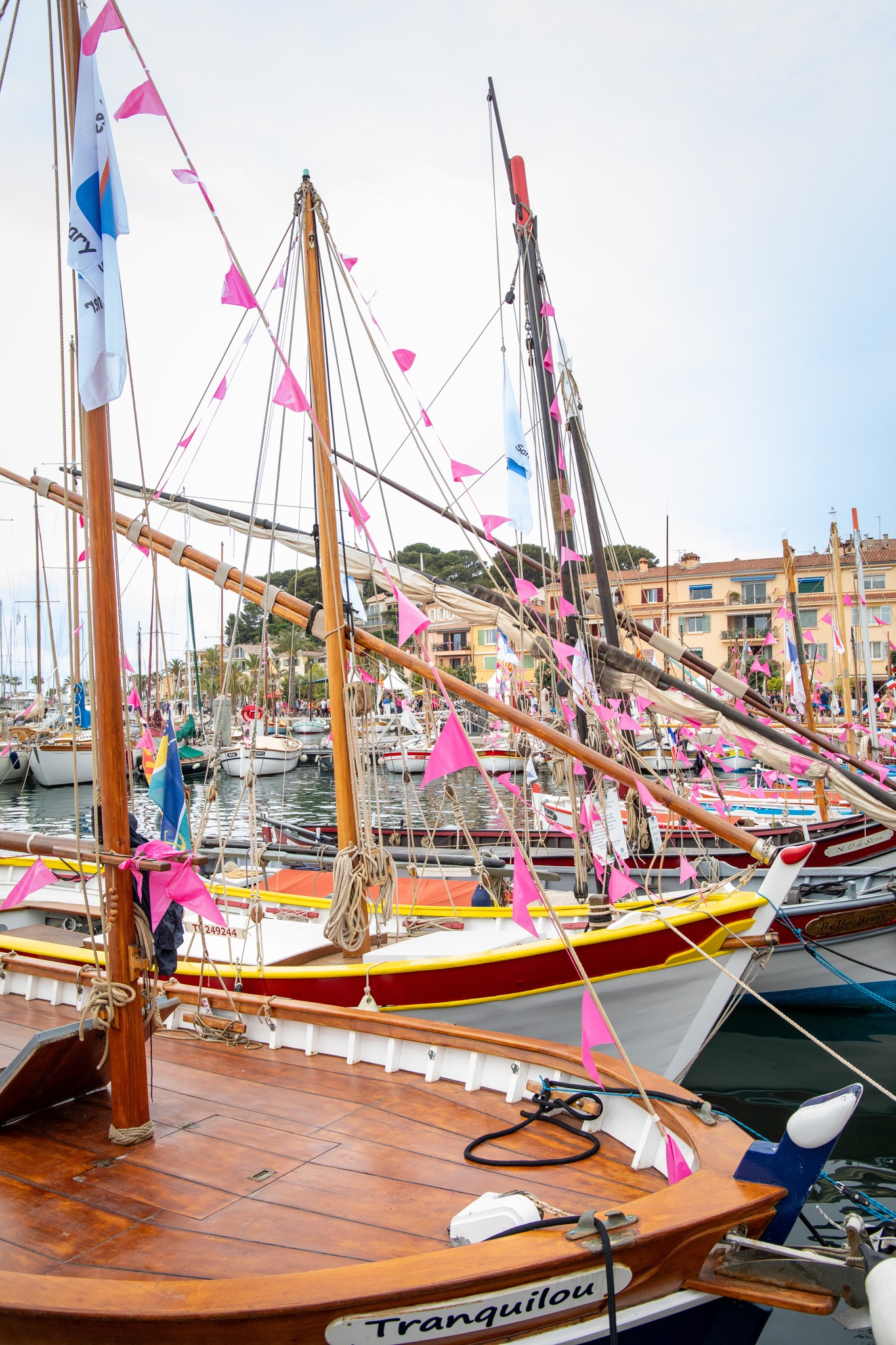 495930929_1148723307296343_3229673143736326144_n