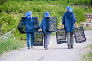 ©Abbaye de Jouques6